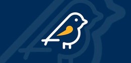 Esse é o balanço das denúncias registradas entre os dias 16 e 31 de agosto