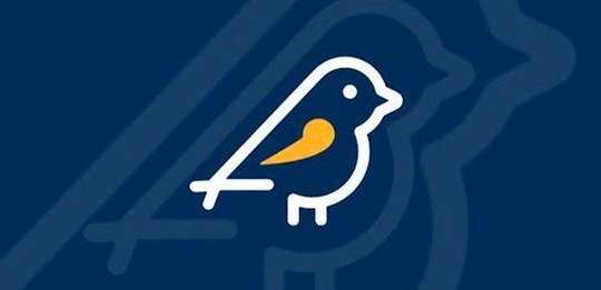 Esse é o balanço das denúncias registradas entre os dias 16 e 31 de agosto